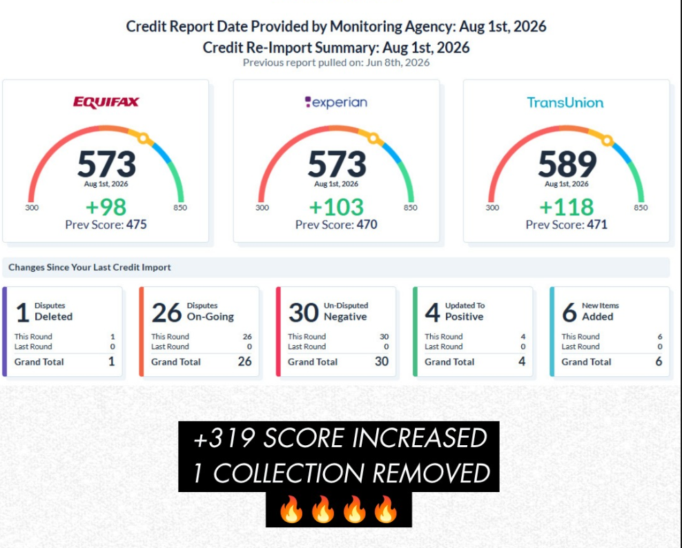 Credit re-import summary showing a +319 combined score increase