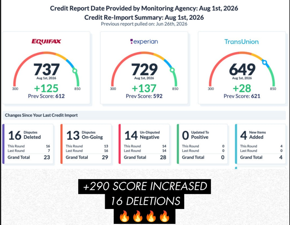 Credit re-import summary showing a +290 combined score increase